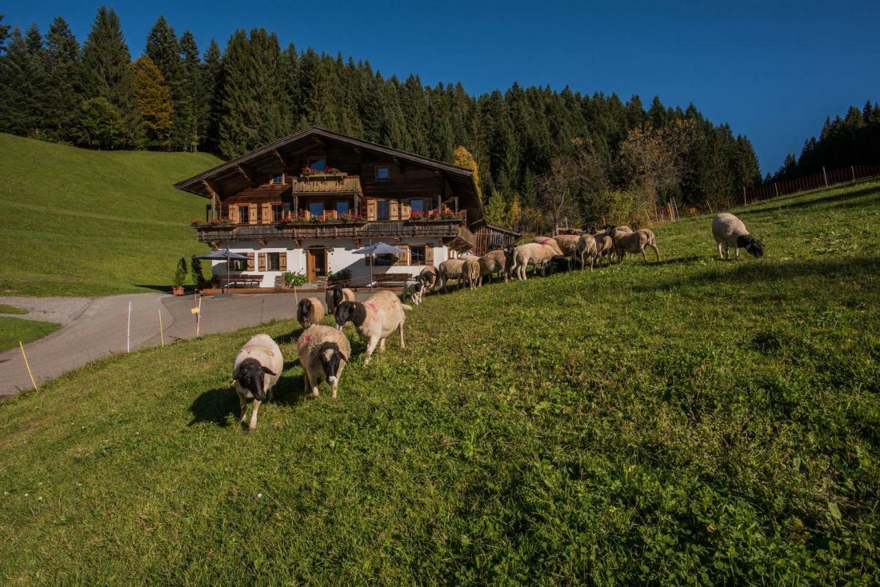 Appartamento Bauernhof Muehltalhof Ellmau Esterno foto
